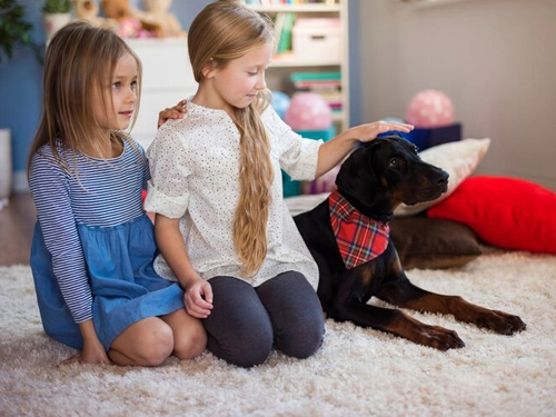 Batıkent Halı Yıkama Gününde Teslimat Garantisi ile Halılarınızı Hızla Geri Alın